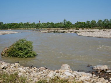 Plaj ve ağaçlar. Ormandaki göl ve orman. Ormandaki nehir. Nehir ve sahil..