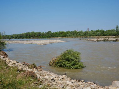 Plaj ve ağaçlar. Ormandaki göl ve orman. Ormandaki nehir. Nehir ve sahil..