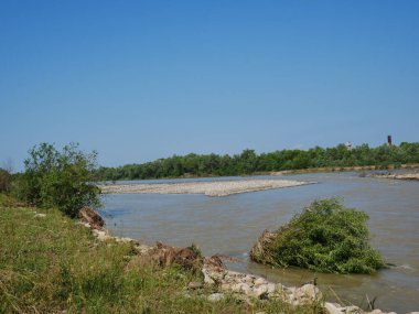 Plaj ve ağaçlar. Ormandaki göl ve orman. Ormandaki nehir. Nehir ve sahil..