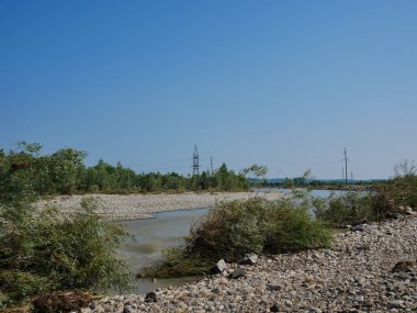 Plaj ve ağaçlar. Ormandaki göl ve orman. Ormandaki nehir. Nehir ve sahil..