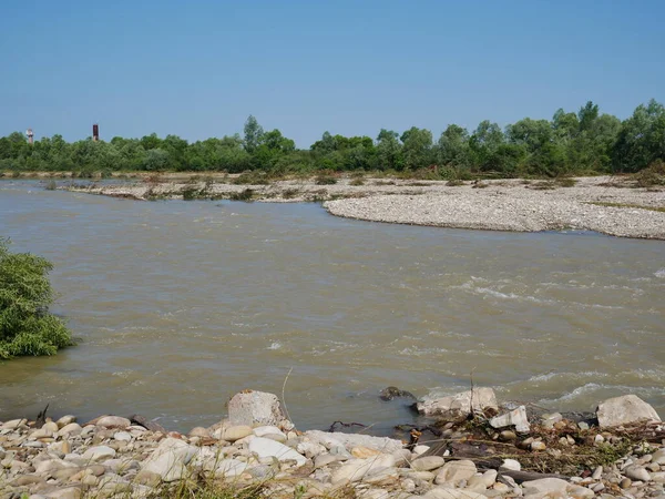 Plaj ve ağaçlar. Ormandaki göl ve orman. Ormandaki nehir. Nehir ve sahil..