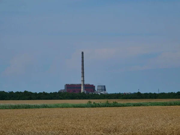 Getreideaufzug Auf Dem Land Kraftwerk Den Niederlanden — Stockfoto