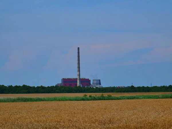 Getreideaufzug Auf Dem Land Kraftwerk Den Niederlanden — Stockfoto