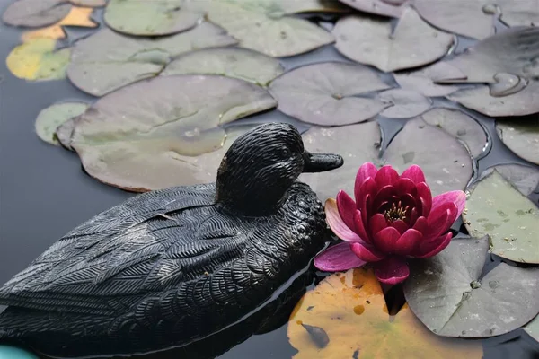 Tuinsculpturen Tuinfiguren Bloemen Stockafbeelding