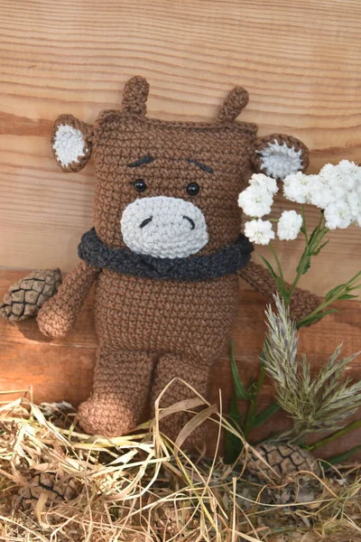 2021 'in sembolü olan bir boğayla kompozisyon. Boğanın 2021 yılı.