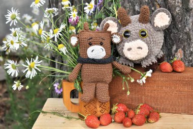 Goby - 2021 'in sembolü..