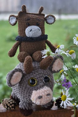  2021 'in sembolü boğa..