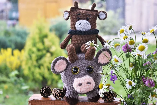  2021 'in sembolü boğa..