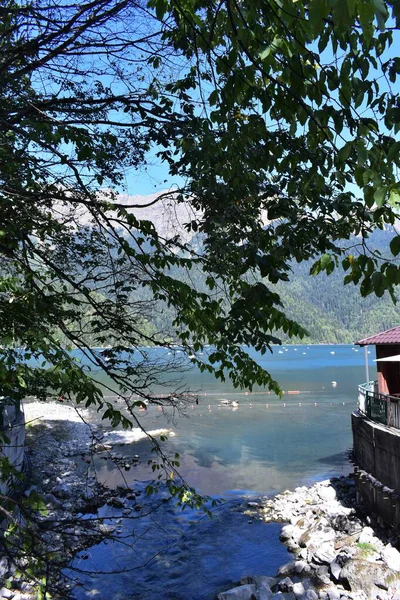 Abchazja Jezioro Ritsa Kaukaz — Zdjęcie stockowe