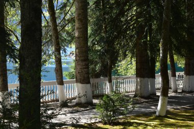 Abhazya. Ritsa Gölü. Kafkas Dağları.