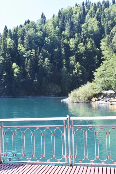 Abchazja Jezioro Ritsa Kaukaz — Zdjęcie stockowe
