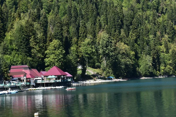 Abchazien Ritsa Sjön Kaukasus Berg — Stockfoto