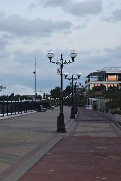 Sea Seagull Beach Sochi Embankment — Stock Photo, Image