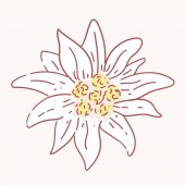 edelweiss blume symbol alpinismus alpen deutschland logo