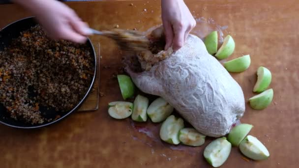 Man Äter Vaktelägg Hälsosam Mat — Stockvideo