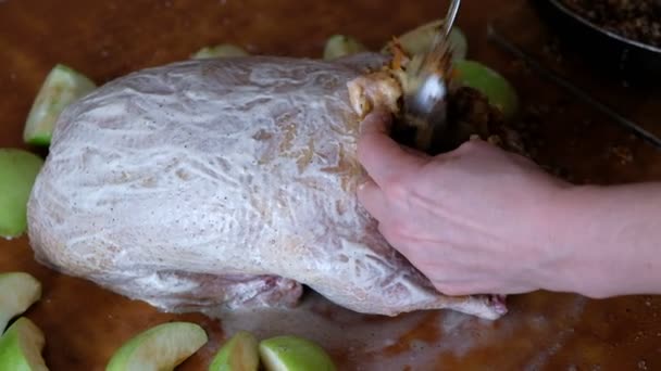 Man Eats Quail Eggs Healthy Food — Stock Video