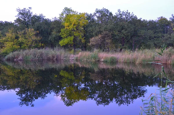 Nehirde sonbahar Suyu ve ormanı görebilirsin
