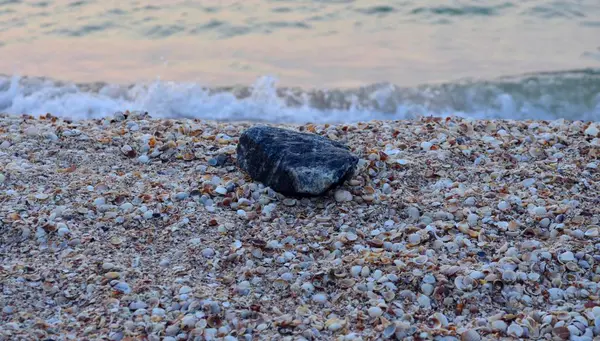 Yaz mevsiminde deniz kabukları Sonbaharda kış mevsiminde