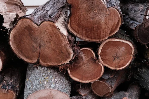 Moda düz ahşap doğal Boyutlanmış günlükleri closeup için arka plan veya soyutlama yatıyordu fotoğraf