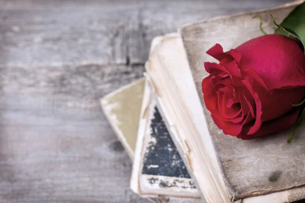 Boeket Droge Rozen Oude Boeken Vintage Stijl — Stockfoto