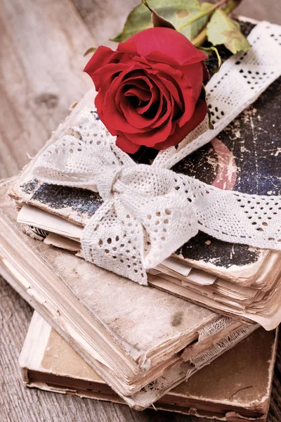 Bouquet Rose Secche Vecchio Libro Stile Vintage — Foto Stock