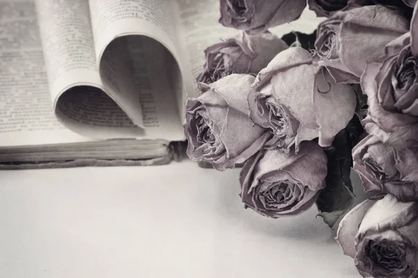 Ξηρά Τριαντάφυλλα Παλιό Βιβλίο Στυλ Vintage Μαύρο Και Άσπρο — Φωτογραφία Αρχείου