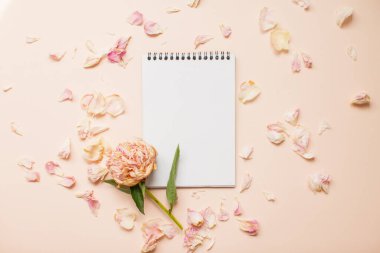 Üst manzara: ortasında beyaz kağıt olan kurumuş pembe şakayık ve yaprakların çerçevesi