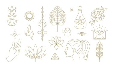 Kültürde kadınlığı temsil eden çiçek sembolleri