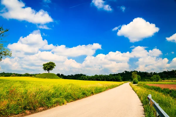 Fields Countryside Friuli Venezia Giulia — Stock Photo, Image