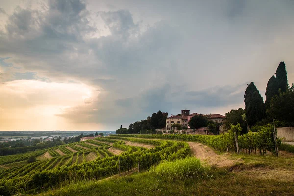 Tormenta Acerca Los Viñedos Los Campos Collio Italia —  Fotos de Stock