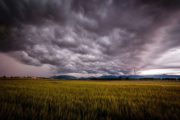 Une Tempête Élève Sur Les Champs Italie — Photo