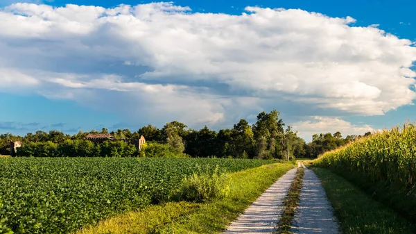 Una Tarde Fresca Vertiendo Verano Caluroso Campo Italiano — Foto de Stock