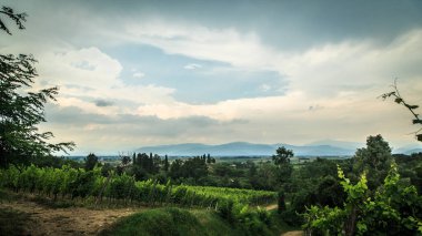 İtalya, Collio 'daki üzüm bağlarına fırtına yaklaşıyor.
