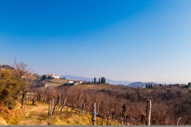 İtalya Rosazzo Abbey, Collio, Friuli Venezia Giulia yakınındaki asma alanlardaki güneşli sabah