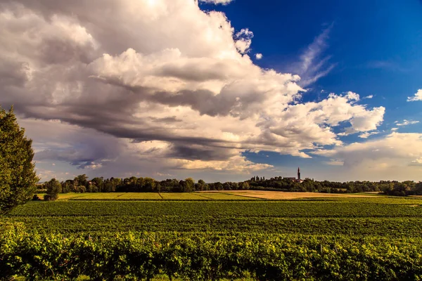 Collio Günbatımı Iyi Bir Şarap Üretimiyle Bilinen Bir Yer Friuli — Stok fotoğraf