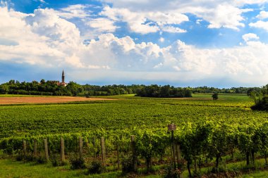 Alanları, Friuli Venezia Giulia fırtınalı gün