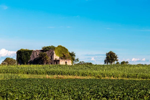이탈리아 시골에 뜨거운 여름에는 신선한 Douring — 스톡 사진