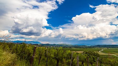Slovenya üzüm bağlarında yağmur ve güneş