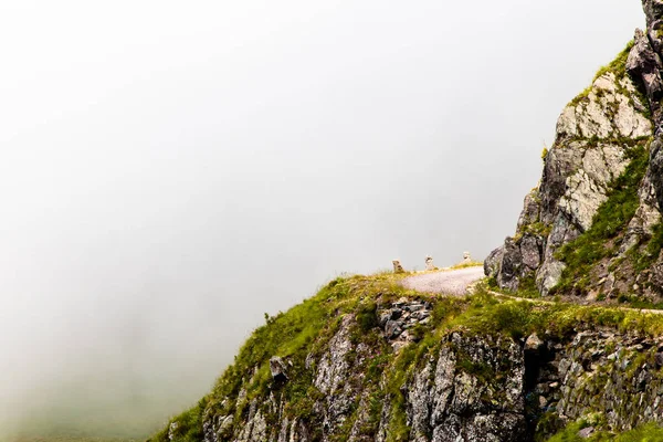 Cloudy Day Mountains Carnic Alps Udine Province Friuli Venezia Giulia — Stock Photo, Image