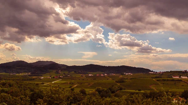 Regen Und Sonne Den Slowenischen Weinbergen — Stockfoto