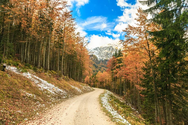 Uma Estrada Trekking Nos Alpes Italianos Douring Outono Colorido — Fotografia de Stock