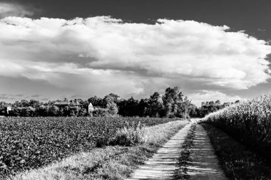İtalyan kırsal kesimde sıcak yaz bir taze bir öğleden sonra douring