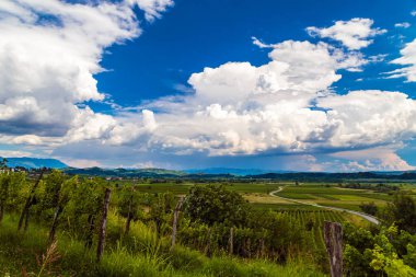 Slovenya üzüm bağlarında yağmur ve güneş