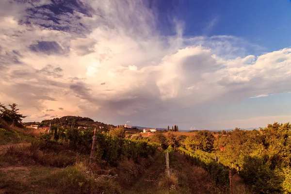 夏日日落在意大利弗留利的罗萨佐修道院附近 — 图库照片