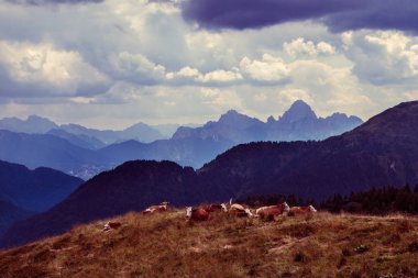 Carnic Alps dağlarında bulutlu bir gün, Udine Eyaleti, Friuli Venezia-Giulia, İtalya