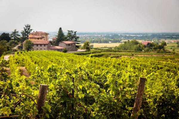 Tormenta Acerca Los Viñedos Los Campos Collio Italia — Foto de Stock