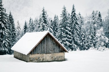 Yılın ilk karı İtalyan Alpleri'nde