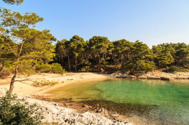Hırvatistan deniz tekne yarışı
