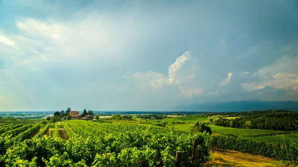 Tormenta Acerca Los Viñedos Los Campos Collio Italia — Foto de Stock