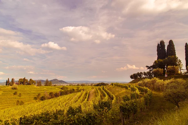 Pôr Sol Perto Abadia Rosazzo Friuli Itália — Fotografia de Stock